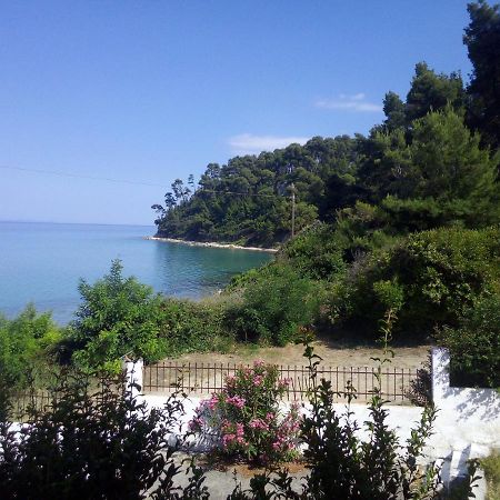 Sea & Forest Kallithea  Exteriér fotografie