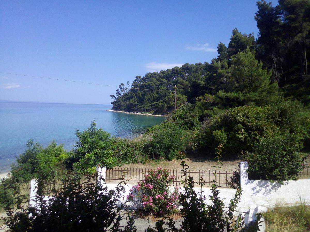 Sea & Forest Kallithea  Exteriér fotografie