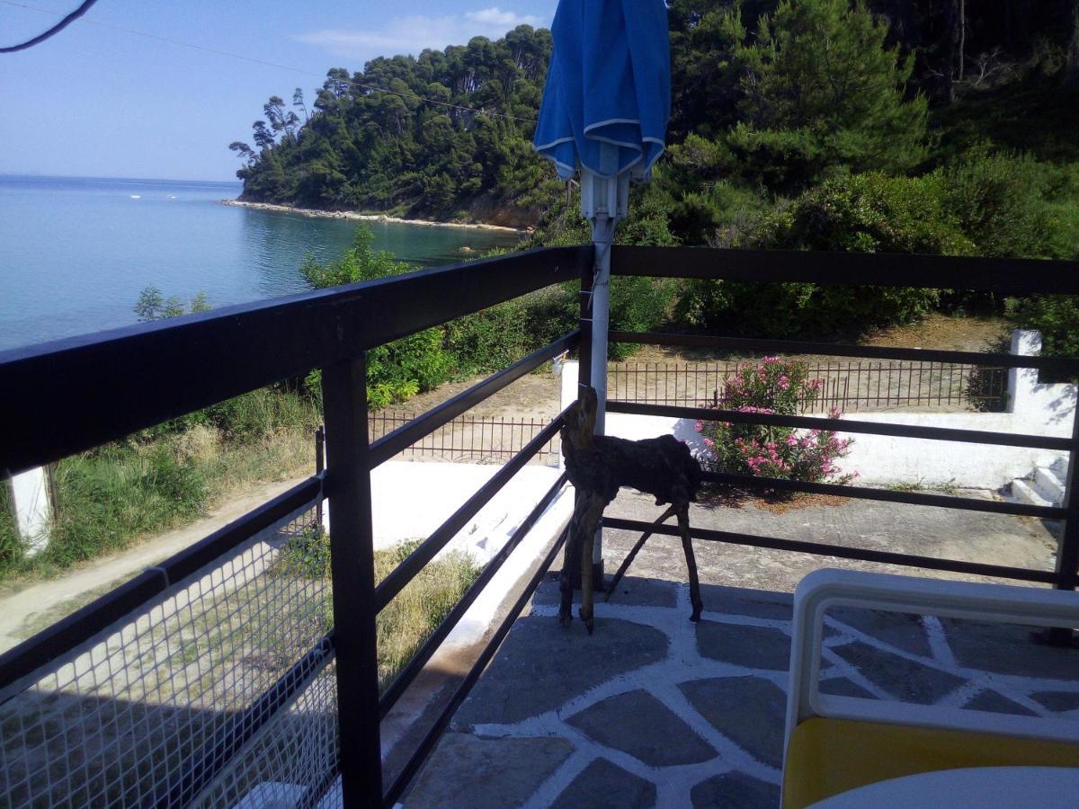 Sea & Forest Kallithea  Exteriér fotografie
